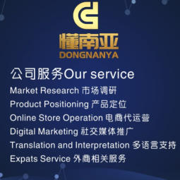 东南亚跨境电商服务商